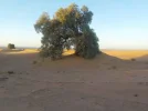 DSCN0229.webp