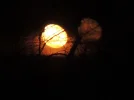 DSCN0693.webp