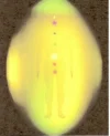 aura.webp