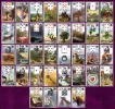 lenormand.webp
