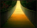 brücke zum licht.webp