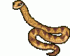 schlange_2.gif