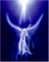 Angelight1.webp