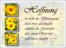 hoffnung2.webp