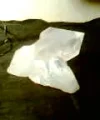 Bild009.webp