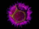 Erde_01_col.webp