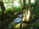 steinerne rinne 1.webp