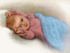 bild1162728837.gif