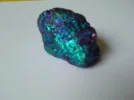 DSC00103.webp