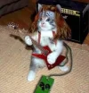 Rock Animal.webp