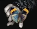 butterfly-hand.jpg