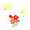 00008724.gif
