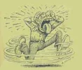 poodle.webp