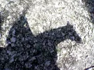 Bild015.webp