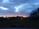 DSC00096.webp