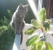 kleiner.webp
