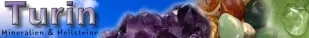top_logo1.webp