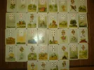 Sandi`s 002.webp