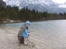 Robin.webp