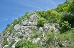 DSC_7109E.webp