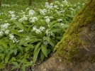 DSCN0278.webp