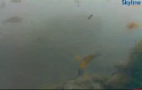 wasser 2.webp