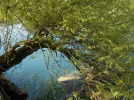 DSCN0284 (2).webp