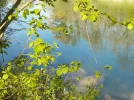 DSCN0286 (2).webp