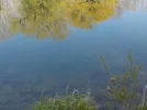 DSCN0285 (2).webp