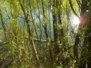 DSCN0318.webp