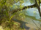 DSCN0317 (2).webp