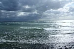 IMG_3308 (2).webp