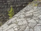 DSCN0330 (3).webp