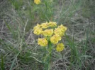 DSCF8256.webp