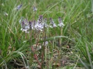 DSCF8284.webp