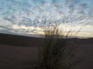 DSCN0174.webp