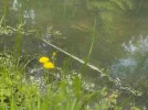 DSCN0346 (2).webp