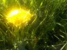 DSCN0328.webp