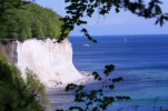 Steilküste Rügen Mai 09 007.webp