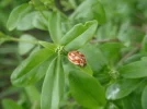 DSCF8271.webp