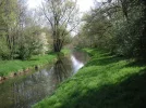 PICT0020.webp