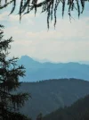DSCF7459.webp