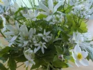 DSCN0379 (2).webp