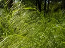 DSCN0357.webp