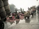 PICT0018 (2).webp
