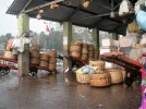 PICT0019.webp