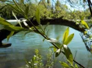 DSCN0414.webp
