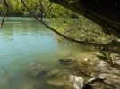 DSCN0421.webp