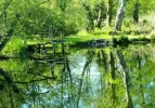 20160505_165533 (3).webp