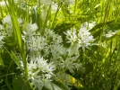 DSCN0488 (2).webp